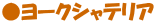 �����[�N�V���e���A