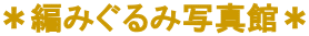 ���҂݂���ݎʐ^�ف�