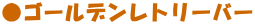���S�[���f�����g���[�o�[