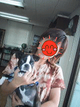 ꂩ炪{ԂŁI