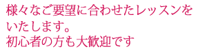 人生色々。それぞれの方の音楽館に副ったレッスンをいたします