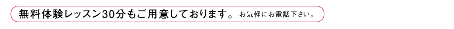 無料レッスン30分もご用意しております