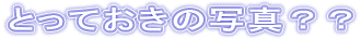 �Ƃ��Ă����̎ʐ^�H�H