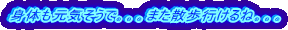 �g�̂����C�����ŁB�B�B�܂��U���s����ˁB�B�B