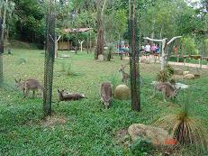 zoo