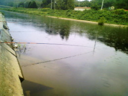 0980928ނ