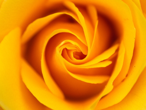 img0002.jpg