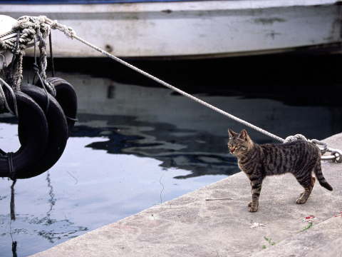 img0001.jpg