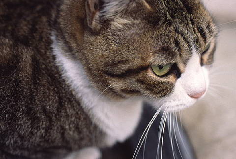 img0000.jpg