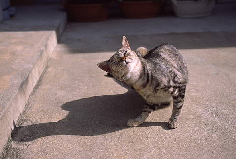img0002.jpg