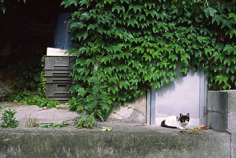 img0003.jpg