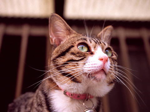 img0008.jpg