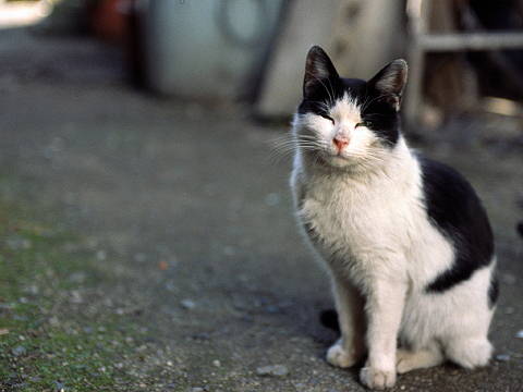 img0028.jpg