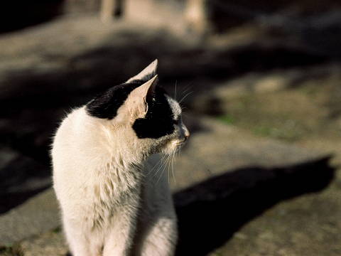 img0031.jpg