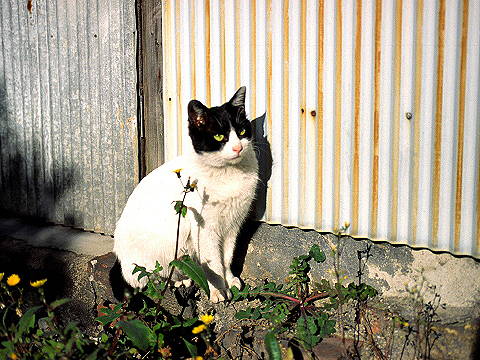 img0035.jpg