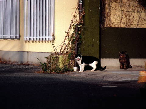 img0038.jpg