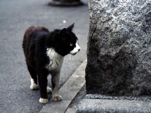 img0006.jpg