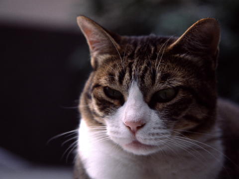 img0007.jpg