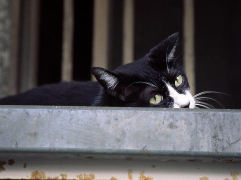 img0008.jpg