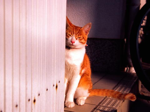img0018.jpg