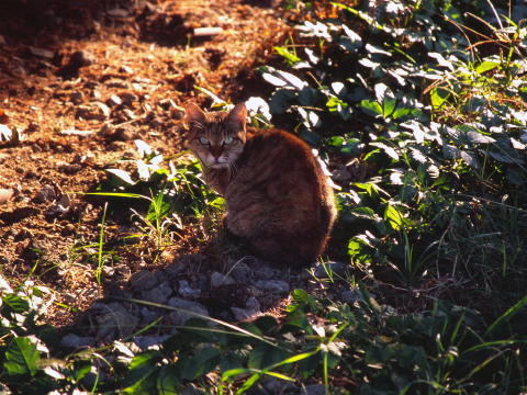 img0019.jpg