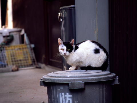 img0020.jpg