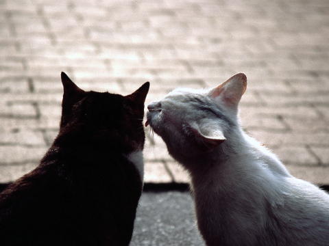 img0024.jpg