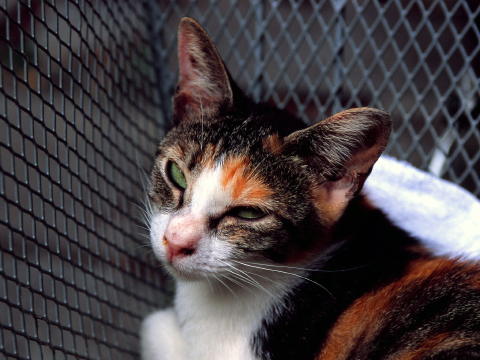 img0026.jpg