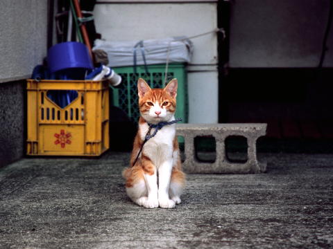 img0029.jpg