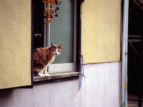 img0030.jpg