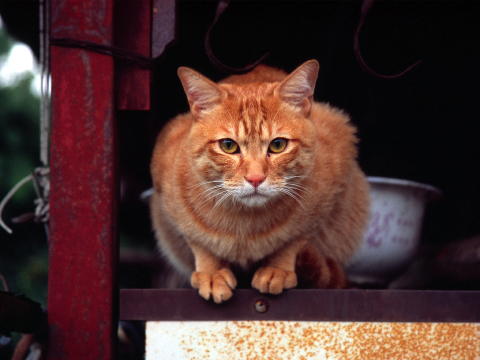 img0031.jpg