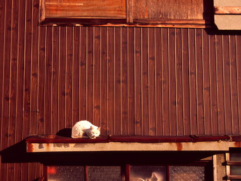 img0035.jpg