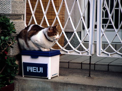img0038.jpg
