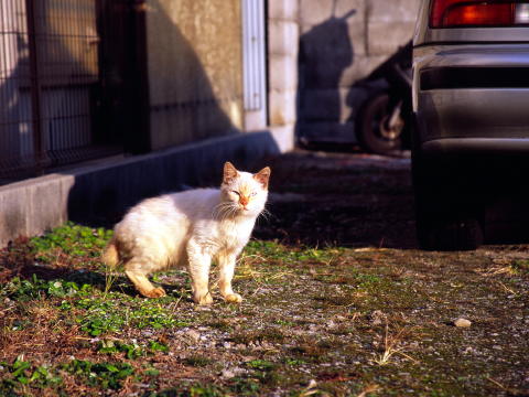 img0039.jpg