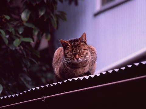 img0044.jpg