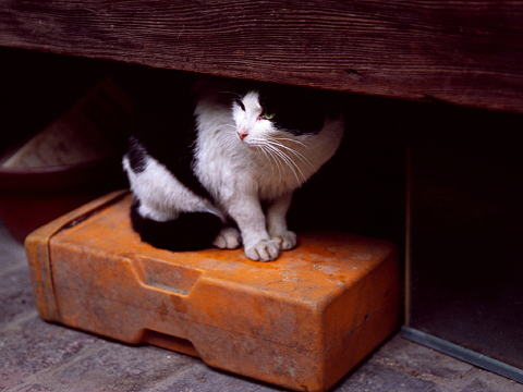 img0004.jpg