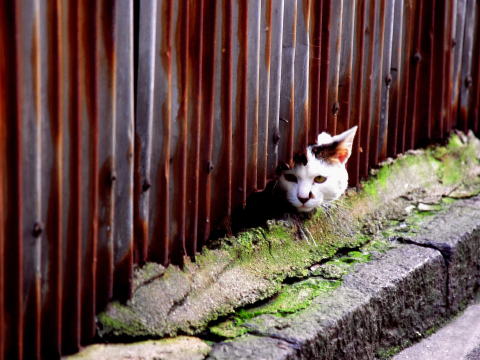 img0021.jpg