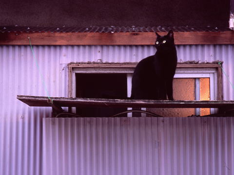 img0023.jpg
