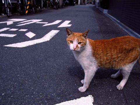 img0026.jpg