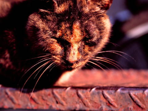img0004.jpg