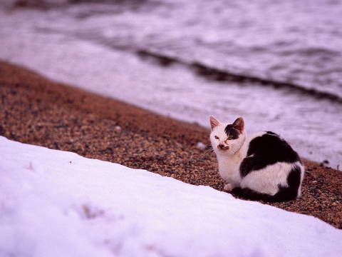 img0008.jpg