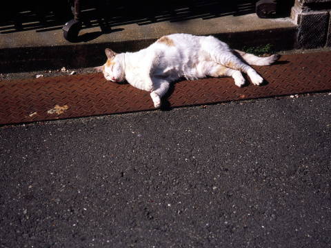 img0022.jpg