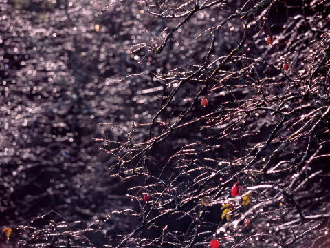 img0006.jpg