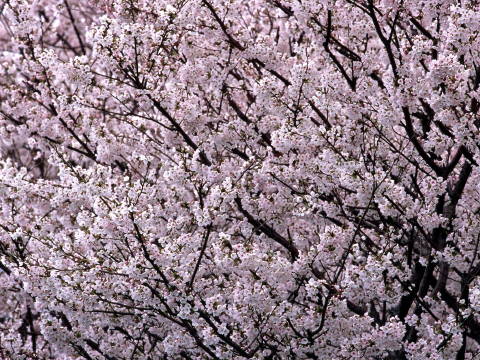 img0014.jpg
