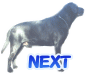 ̃Nւfn