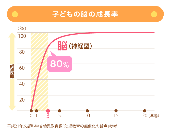 脳発達曲線