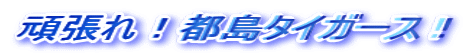 ����΂�s���^�C�K�[�X 