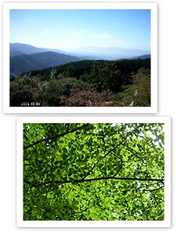 DSCF0008