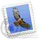 AppleMail.jpg