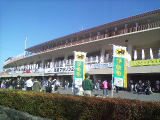 会場